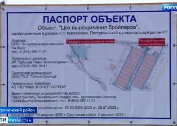 В Роспотребнадзоре сообщили, что проект птицефабрики в Пестрецах не угрожает жителям