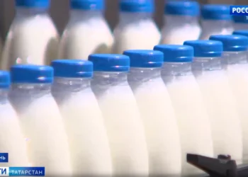 В Татарстане объем фальсифицированной молочной продукции сократился почти на треть
