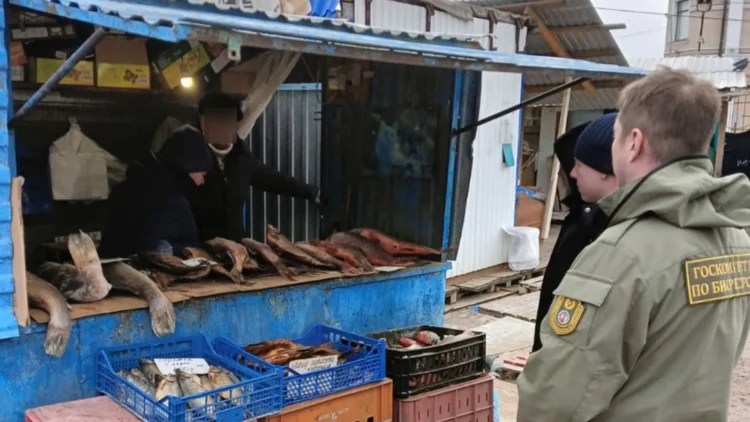 Фото: ojm.tatarstan.ru