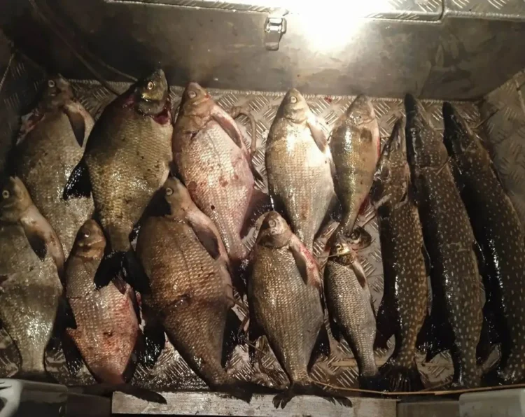 Фото: ojm.tatarstan.ru