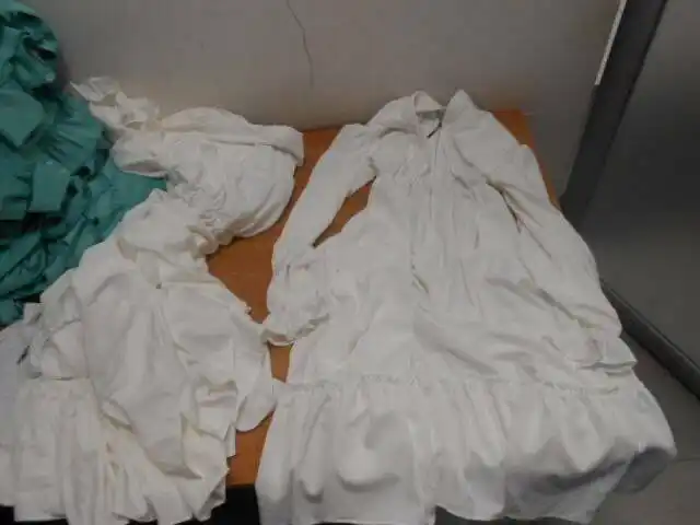 Фото: пресс-служба Татарстанской таможни