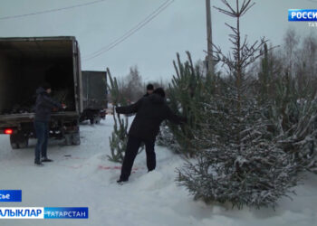 Яңа ел җитүгә дә бер айдан азрак вакыт калып бара