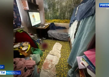 В Казани мать заколола своего сына: новые обстоятельства зверского убийства