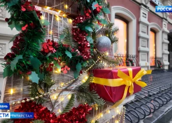 В поселке Васильево решают судьбу собачьих стай: кто ответственен за бездомных животных?