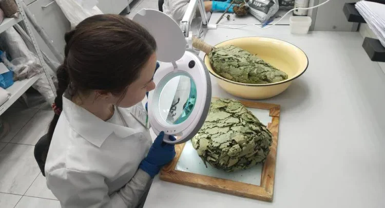 лаборатория