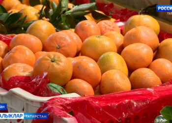 Дөрес цитрусның исе баллы,  кабыгы җиңел алына