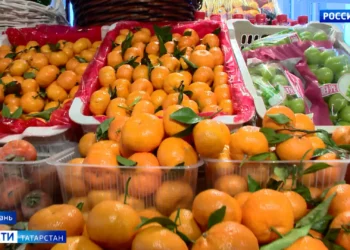 Татарстанцам рассказали, как выбрать идеальные мандарины к Новому году