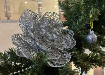 Әдәби-музыкаль композиция (27.12.25)