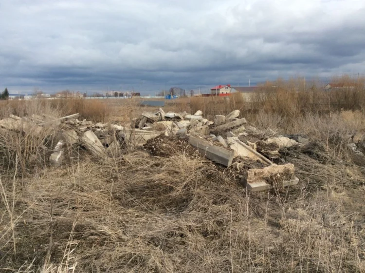 Фото: Минэкологии РТ