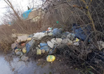 В Нижнекамске обнаружили несанкционированную свалку