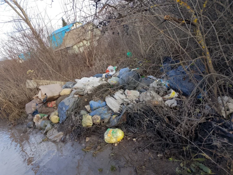 Фото: Минэкологии РТ