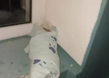 Жители Альметьевска в подъезде нашли новорожденного ребенка