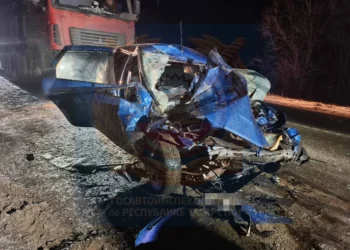 В Елабужском районе произошло смертельное ДТП