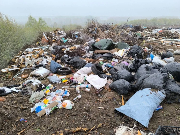 Фото: Минэкологии РТ