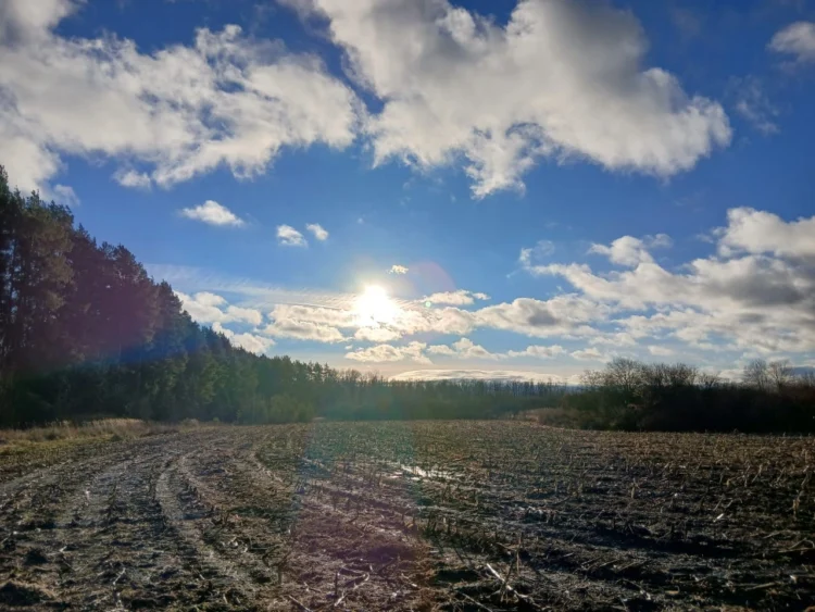 Фото: пресс-служба комитета ОКН