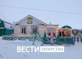 Семья Мамшовых-Тимариных и Кириллиных из Тетюшского района украсила дом к Новому году