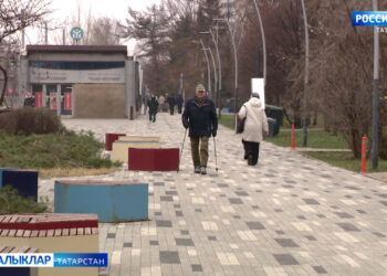 Кыш кая качкан?