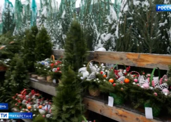 В Казани цены на новогодние елки начинаются от 1 тыс. рублей