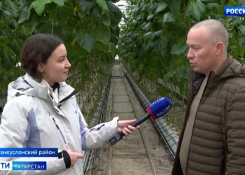 Фермер из Татарстана получит субсидию на развитие тепличного хозяйства и птицефермы