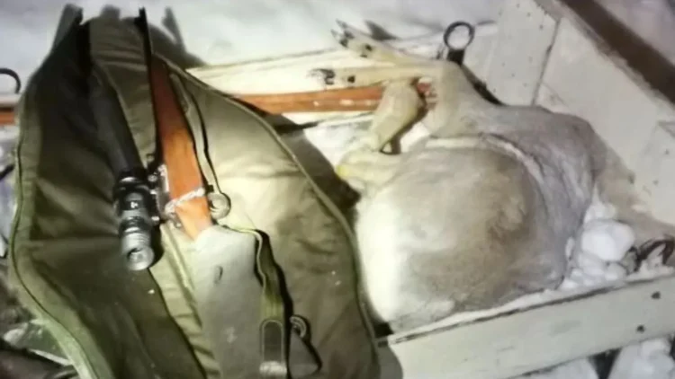 Фото: ojm.tatarstan.ru