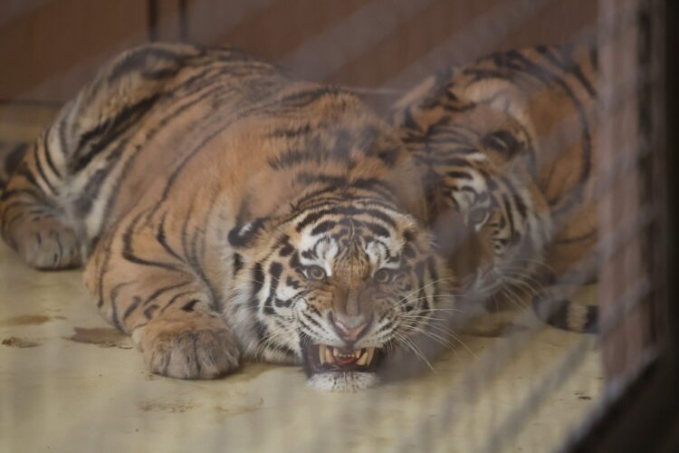 Росреестр Татарстана