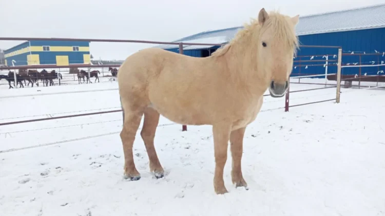Фото: agro.tatarstan.ru