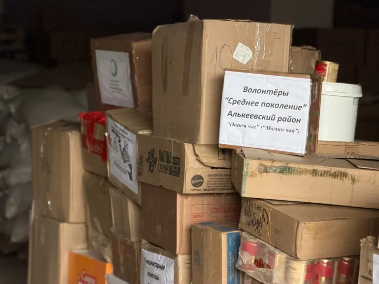 Фото: аппарат вице-премьера РТ Рината Садыкова