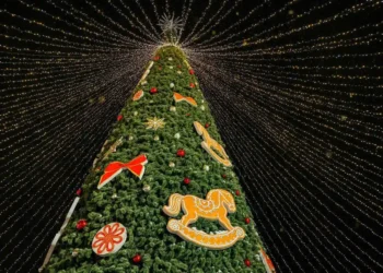 Альметьевск занял II место в федеральном конкурсе «Елки России»