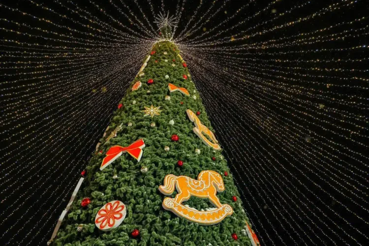 Фото: тг-канал "Администрация Альметьевска"