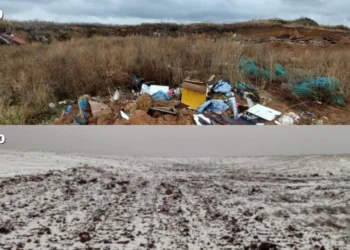 В Нижнекамском районе ликвидировали крупную свалку