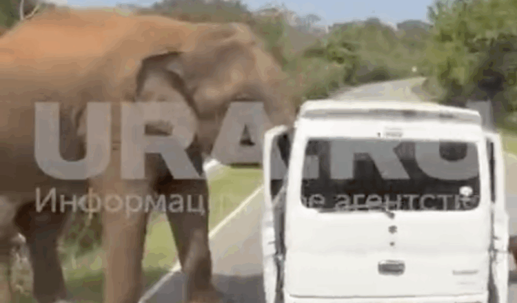 скриншот видео URA.RU