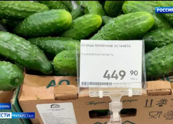 Стало известно, почему огурцы в Татарстане подорожали до 500 рублей за кг
