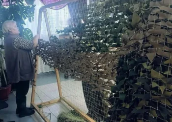 гумпомощь