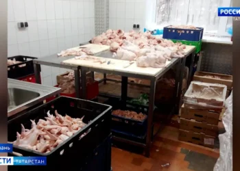 В Татарстане изъяли почти 700 кг зараженной сальмонеллой курицы