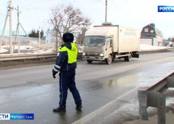 В Татарстане перекупщики пытаются завозить больных овец из регионов, где бушует ящур