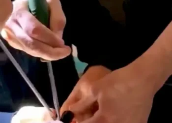 мчс