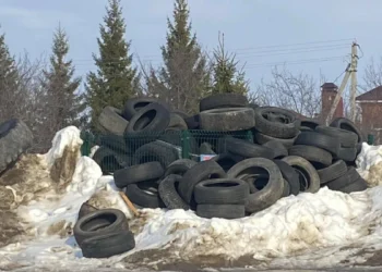 свалка