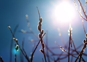 Әхәт Гаффар әсәрләре (29.03.26)