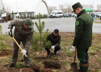 В Татарстане высадили миллион саженцев в рамках «Сада памяти»