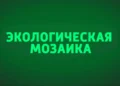 Россия 24