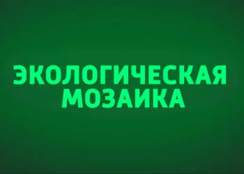 Россия 24