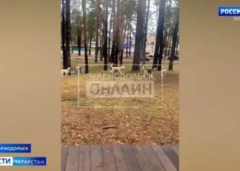 В Татарстане ожидается потепление до +13 к концу недели