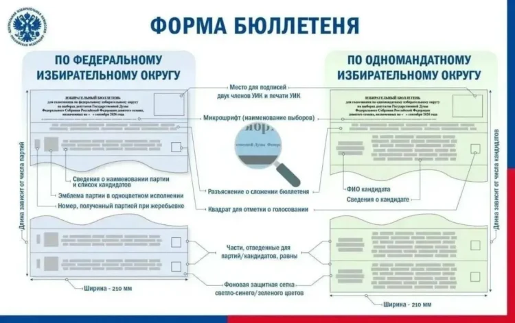 бюллетень