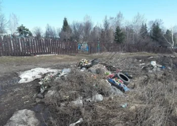 В Бугульминском районе нашли незаконную свалку у кладбища