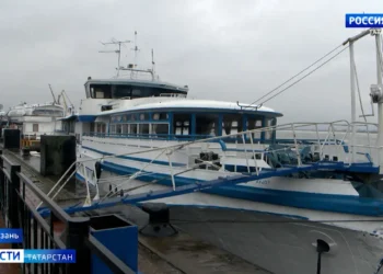 В Казани за один день оформили более 80 протоколов на водителей-иностранцев