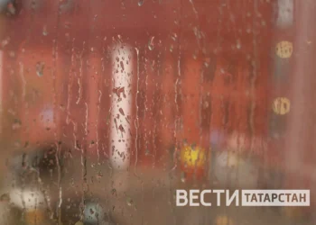 В Татарстане продлили штормовое предупреждение из-за высокой пожарной опасности