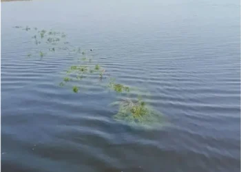 река