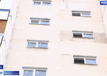 «По сто тараканов за сутки»: жители дома на Курчатова в Казани пожаловались на нашествие гигантских насекомых