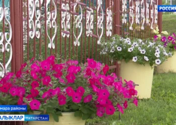 Республикабызда авыл җирлекләрен үстерү юнәлешендә зур эшләр башкарыла