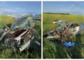 В Новошешминском районе произошло смертельное ДТП